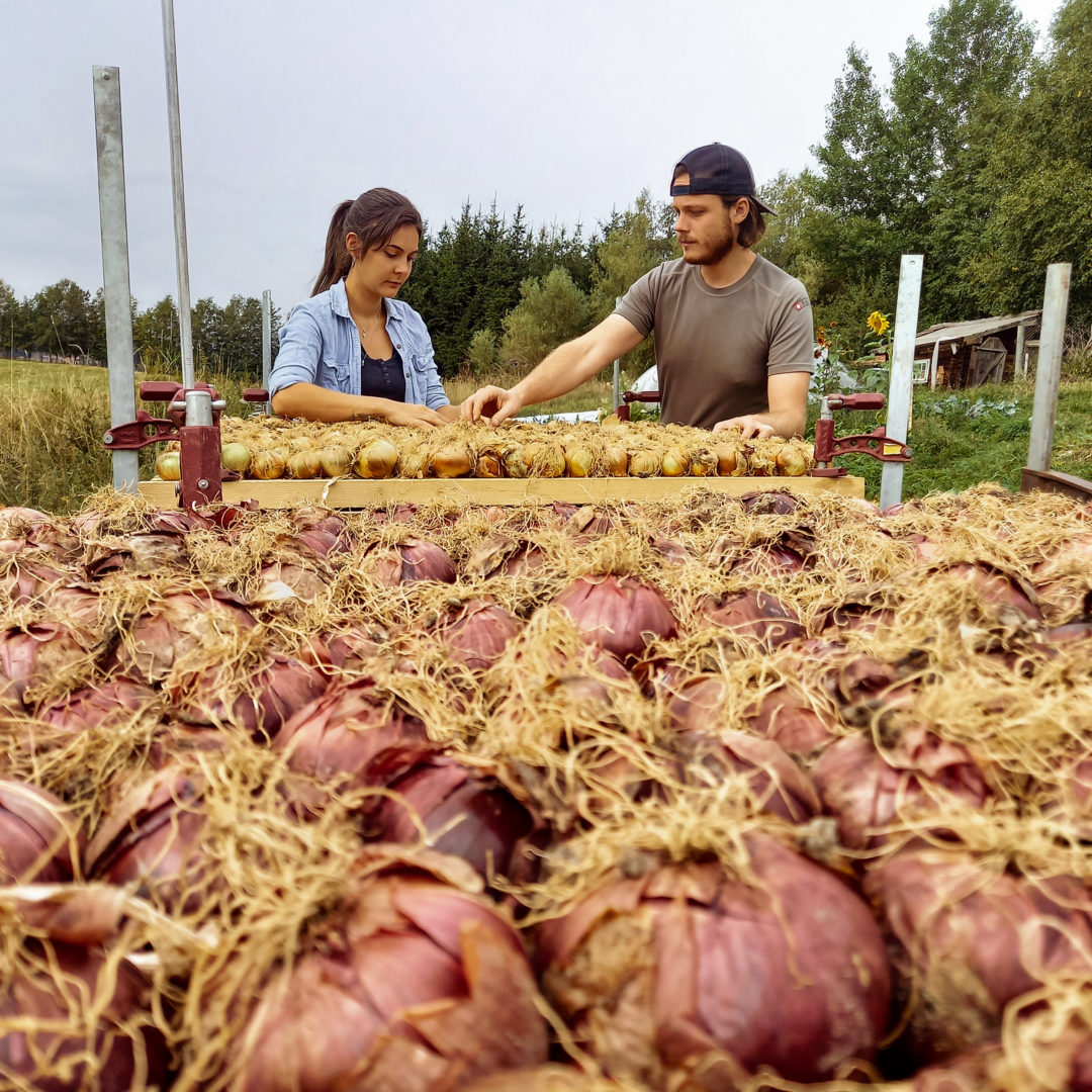 les jardins du marais-agriculture-bio intensif-exploitation-durable-maraicher-biodiversité-les ponts-de-martel-micro ferme-1000m-durable-futur-suisse-romande-légumes-fruits-ferme-agricole-durabilité-culture-canton-neuchatel-terre-avenir-maude-henchoz-maé-boiteux