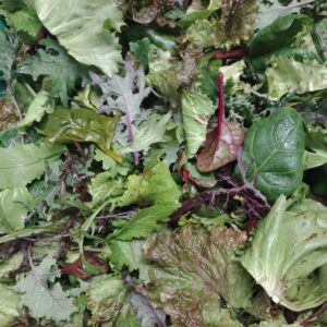Mélange mesclun - Diff. Mél. Laitue et verdurette / 100gr