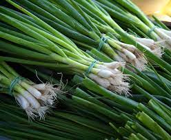 Oignon frais - Blanc / Botte
